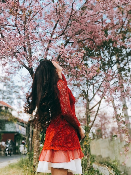 Sự tươi trẻ của những cánh hoa mai anh đào rực rỡ pha lẫn chút hoang dại sẽ mang lại cho bạn cảm giác ấm áp nồng nàn khó tả trong không khí lạnh lẽo của Đà Lạt những ngày đầu Xuân. (Ảnh: Bảo Bình)