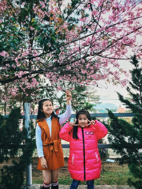 Thời điểm đẹp nhất để chụp ảnh là vào sáng sớm khoảng 6:00 đến 9:00 sáng và buổi chiều từ 4:00 đến 5:00. Những khung giờ này có ánh nắng dễ chịu, những cánh hoa đào cũng trở nên lung linh và đậm màu hơn.