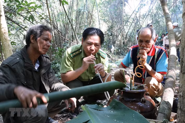 Già làng Siu Tới, làng Ograng, xã Ia Pếch, huyện Ia Grai uống rượu cần cùng Hạt trưởng chi cục Kiểm lâm huyện Ia Grai và cam kết giữ rừng. (Ảnh: Hồng Điệp/TTXVN)