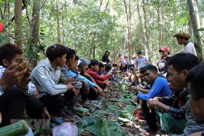 Bà con dân làng Ograng, xã Ia Pếch, huyện Ia Grai tập trung ăn uống theo kiểu truyền thống sau lễ cúng Rừng. (Ảnh: Hồng Điệp/TTXVN)