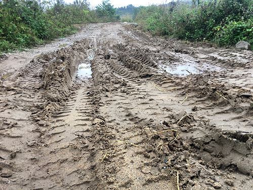 Lối dẫn vào suối con Rắn vẫn còn những vết bánh xe ba gác chở hàng in sâu hoắm
