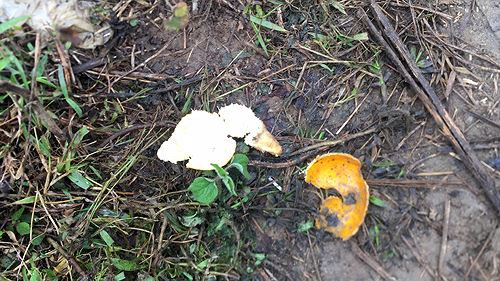 Nhiều cửu vạn mang theo hoa quả, cơm hộp để "nạp năng lượng" lúc đói rét