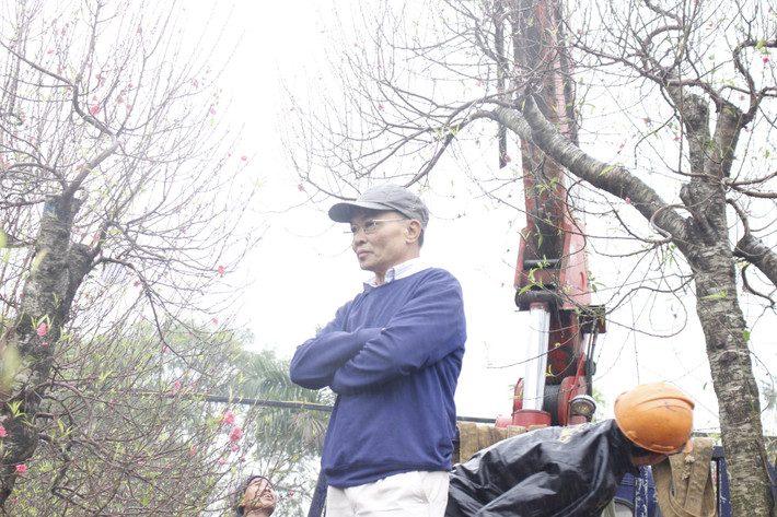Ông Tống Ngọc Kỳ (Ninh Bình) là một "dân buôn đào" có nhiều năm kinh nghiệm cho biết, năm nay mình nhập 700 triệu tiền hàng ở đây, với số lượng gần 100 cây đào đủ các loại.