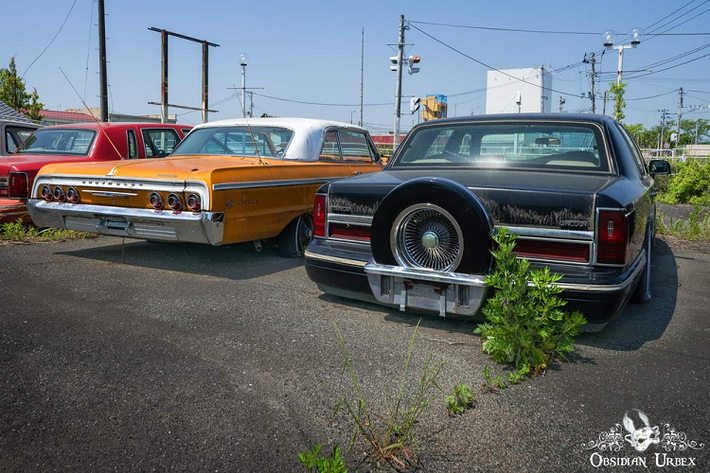 Vì bị bỏ hoang đã lâu nên xung quanh đại lý, cỏ mọc khá cao, bao trùm lên cả những chiếc xe. Những chiếc xe bỏ rơi này đương nhiên cũng ở trong tình trạng khá tệ, không chỉ bị phủ bụi mà còn xịt lốp và gỉ sét nhiều chỗ.