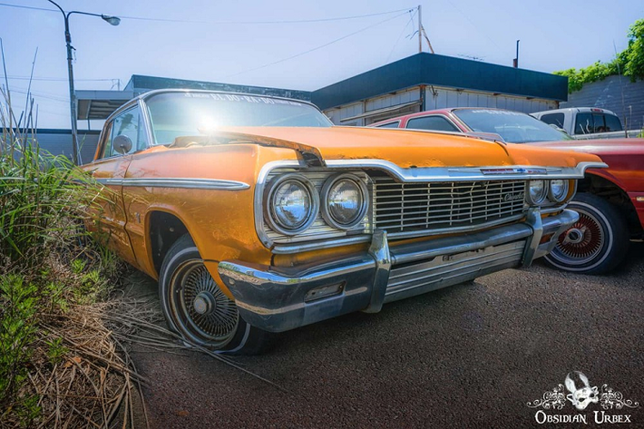 Qua hình ảnh do nữ nhiếp ảnh gia đăng lên mạng, có thể thấy trong sân của đại lý ôtô bỏ hoang tại Nhật xuất hiện những chiếc xế hộp Mỹ như Chevrolet Impala SS đời 1962, Lincoln Towncar, Chevrolet Impala, Cadillac Fleetwood Brougham và Cadillac Connessieur. Ngoài ra, trong đại lý ôtô này còn có một số chiếc xe Nhật Bản như Toyota Tundra đời 2006, Nissan 240SX đời 1989 hay Nissan Pao.