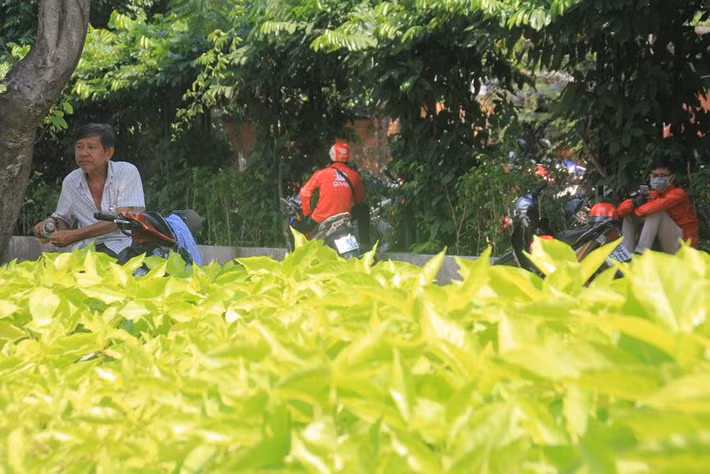 Các bác tài xe ôm công nghệ cũng tranh thủ trú nóng dưới bóng cây