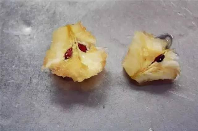 Trong hạt táo có chứa các chất độc cyanid. Cụ thể hơn, chúng có chứa amygdalin, một chất có thể giải phóng cyanid khi tiếp xúc với các enzyme tiêu hóa của đường ruột. Ảnh: tgpla.