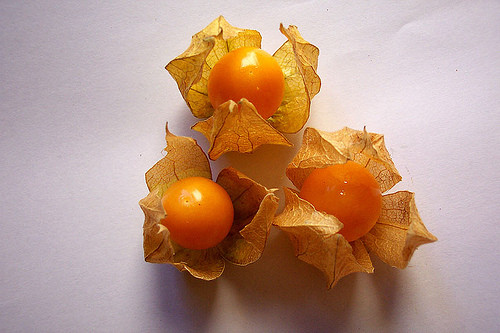 Quả Pichuberry (quả tầm bóp, thù lù). Nếu như ở Việt Nam, đây chỉ là một loại quả mọc hoang thì ở Peru đây là một loài quả xuất khẩu. Với hàm lượng cao vitamin D, C và B12 nó được chứng minh là có tác dụng tuyệt vời cho xương và da, giảm viêm, chống ung thư hiệu quả.