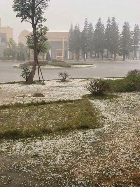 Mưa đá trắng trời như tuyết rơi ởthị trấn Nông trường Mộc Châu.