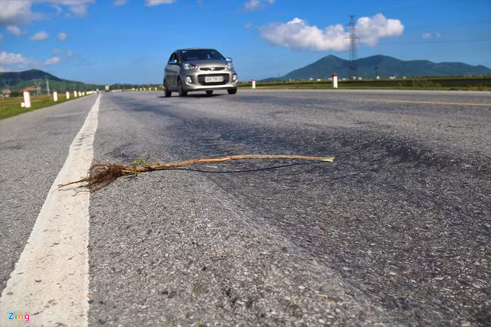 Dự án nâng cấp, mở rộng quốc lộ 1 đoạn đường tránh thị xã Kỳ Anh dài 33 km, được đầu tư hơn 1.200 tỷ đồng, do Ban quản lý dự án An toàn giao thông (Bộ GTVT) làm chủ đầu tư cũng xuất hiện tình trạng hư hỏng, sụt lún tương tự.