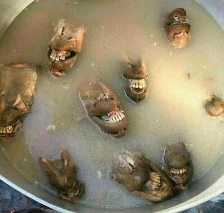 Hãy thử tưởng tượng bạn nấu món hầm với những chiếc đầu dê vẫn đang mỉm cười thế này? Quả là món ăn cho người dũng cảm.