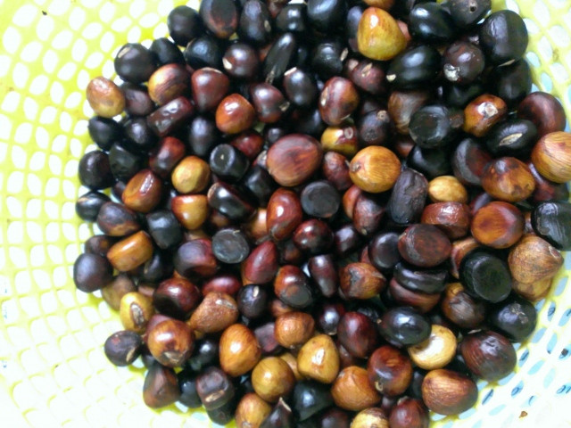 Bên cạnh đó, nhiều người còn cho rằng, ăn nhiều hạt mề gà có thể chữa được bệnh đau đầu. Ảnh: vatgia.