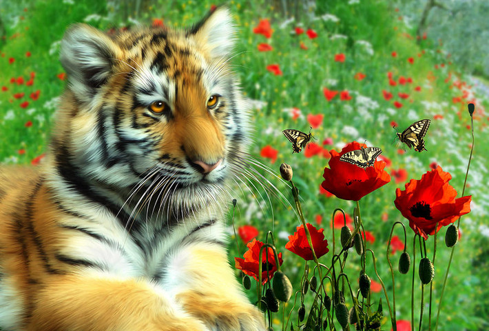  Tuổi Dần: Sinh lực tràn đầy, luôn có niềm tin vào mọi việc, hành xử đúng đắn và thận trọng giúp bạn có một ngày vô cùng tuyệt vời. Tạm thời, đừng quá đặt nặng chuyện tiền nong, tất cả sẽ ổn khi dự án thu hồi vốn. Đừng hờ hững với nửa kia, khi anh/cô ấy thực sự thật lòng với bạn. 