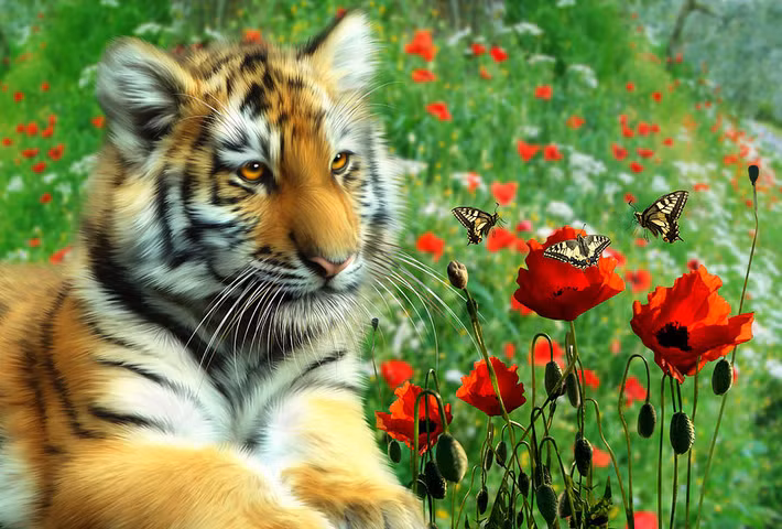  Tuổi Dần: Sinh lực tràn đầy, luôn có niềm tin vào mọi việc, hành xử đúng đắn và thận trọng giúp bạn có một ngày vô cùng tuyệt vời. Tạm thời, đừng quá đặt nặng chuyện tiền nong, tất cả sẽ ổn khi dự án thu hồi vốn. Đừng hờ hững với nửa kia, khi anh/cô ấy thực sự thật lòng với bạn. 