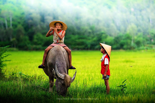  Tuổi Sửu: Nhờ được bạn bè, cộng sự giúp đỡ nên bạn thu hoạch được nhiều món thu nhập khá béo bở. Cấp trên khẳng định công lao và đóng góp của bạn khiến con giáp này có thêm động lực phấn đấu. Nếu được, cố gắng thu xếp thời gian hâm nóng tình cảm với nửa kia. 