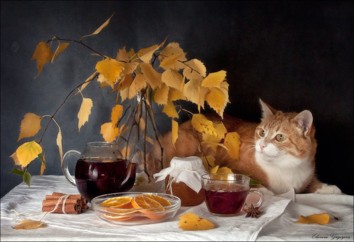 Tuổi Mão: Dự đoán ngày mới cho 12 con giáp chúc mừng, vận may tình yêu tăng lên giúp bạn tìm được người như ý. Tình tiền tài đều vô cùng viên mãn khiến bạn thoải mái dành thời gian cho gia đình, bạn bè và người thương.