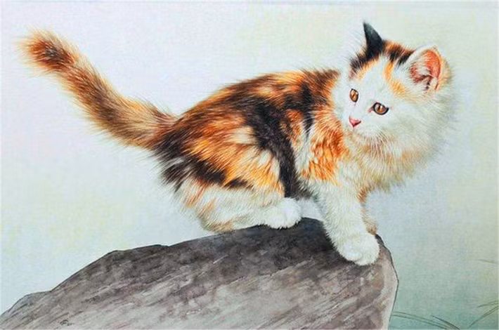  Trong tháng 5 âm lịch này, nhờ được quý nhân phù trợ mà họ vạn sự như ý, chỉ cần hành sự cẩn thận, ắt sẽ không để lọt phí dù chỉ một đồng hào nào hay gặp bất cứ tổn hại gì về mặt kinh tế.