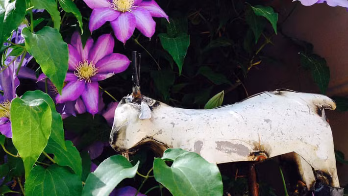  Tuổi Mùi: Nếu muốn, bạn hoàn toàn có thể đầu tư vào chứng khoán, làm ăn ngắn hạn hoặc mua bán bảo hiểm. Đừng chi tiêu lạm vào khoản thu nhập vốn có, hành động tỉnh táo. Khi khó xử nhất, bạn hãy thử hỏi ý kiến và lời khuyên của nửa kia. 