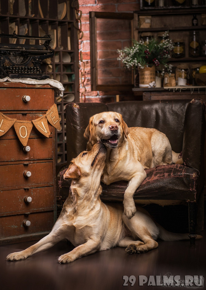  Tuổi Tuất: Chú ý cân đối hài hòa giữa tài chính và sự nghiệp, bạn sẽ có thể hoàn thành mọi việc theo đúng dự kiến. Tuy nhiên chuyện tình cảm đang đối diện bờ vực tan vỡ do bạn đã quá đa tình. 