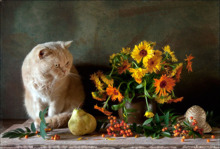  Tuổi Mão: Dự đoán ngày mới tử vi 12 con giáp nhắc nhỏ, việc tình cảm bất ổn, tâm lý hoang mang khiến bạn trở nên mệt mỏi. Bạn luôn tìm cớ đổ lỗi cho người khác, đặc biệt là chuyện làm ăn. Tài chính giai đoạn này chỉ ở mức vừa phải nên cần cố gắng để cân đối chi tiêu. 