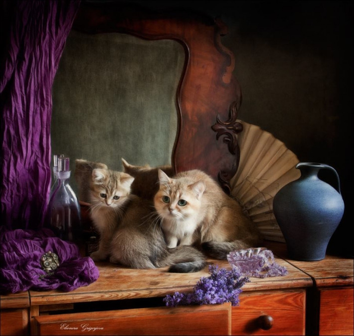  Tuổi Mão: Tử vi 12 con giáp nhận định tuổi Mão trong 24 giờ tới sẽ có vận trình khá bấp bênh. Họ tự gây ra và bị cuốn vào những cuộc tranh cãi vô bổ, hao tài, tán lộc rất nhiều. Chuyện tình cảm rối ren càng khiến họ áp lực.