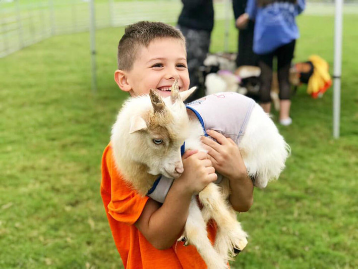  Tuổi Mùi: Tử vi 12 con giáp bất ngờ vì bạn sống bình dị. Nếu mạnh dạn thể hiện bản thân nhiều bạn sẽ ghi điểm với cấp trên, dễ thăng chức, tăng lương. Chi tiêu tiết kiệm dù kinh tế khởi sắc nhưng nên hào phòng với nửa kia.