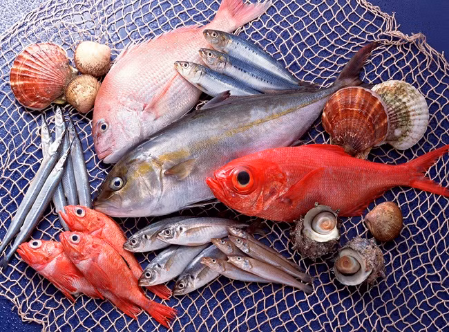 Trong khi đó, cá có mùi lạ, mùi hóa chất hoặc mùi diesel có thể bắt nguồn từ môi trường sinh trưởng của chúng bị ô nhiễm. Sống trong vùng nước không đảm bảo, cá sẽ chứa nhiều kim loại nặng, formaldehyde và các chất không có lợi cho sức khỏe.