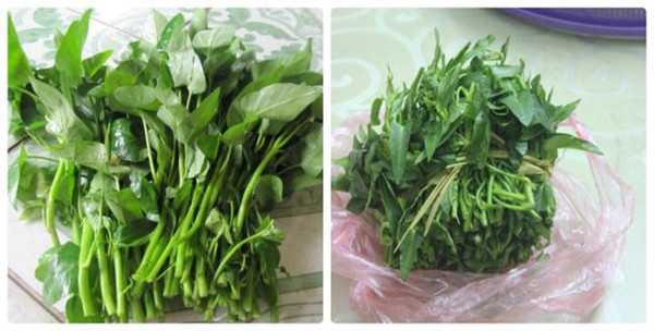 Để không mua phải rau muống “ngậm” hóa chất, chị em nên quan sát hình dáng, màu sắc của chúng. Rau muống phun nhiều hóa chất thường có thân to, lá đen, giòn, dễ dập nát. Khi bẻ thân rau thường không có hoặc rất ít nhựa chảy ra.