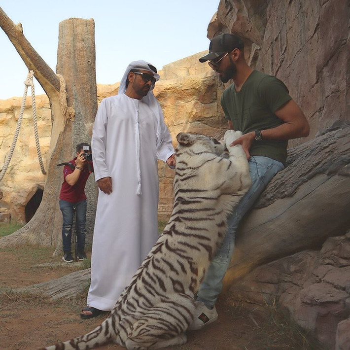 Đến tháng 9/2013, Omar đến Việt Nam trong một sự kiện đấu giá từ thiện ở TP.HCM. Lần ghé thăm Việt Nam này, bên cạnh những fan nữ nhiệt tình hâm mộ, Omar cũng trở thành tâm điểm tranh luận trên mạng khi nhiều người cho rằng không nên hâm mộ một người như Omar bởi ngoài vẻ ngoài đẹp trai ra anh dường như không có tài năng gì quá nổi bật. Sau lần đến Việt Nam, độ hot của " trai đẹp bị trục xuất" dần lắng xuống.