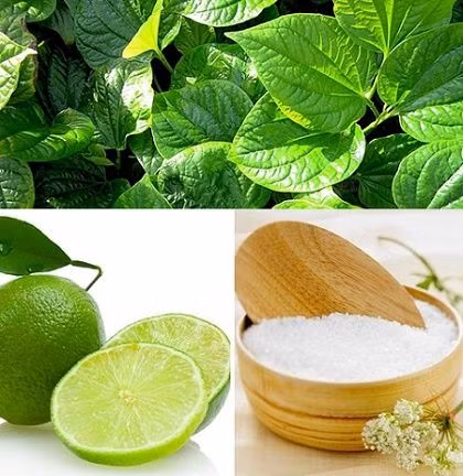 Nếu kết hợp lá trầu không cùng với chanh và muỗi sẽ cho ra hỗn hợp kháng khuẩn, tẩy sạch vùng da tế bào chết, giúp da trắng sáng mịn màng. Ảnh: vandieuhay.