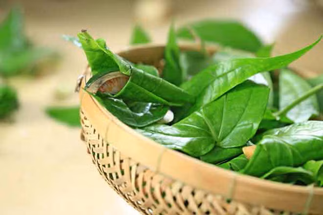 Khi thực hiện cách làm hồng vùng kín này, bạn cần lưu ý nhiệt độ xông phải vừa phải, tránh bị nóng quá sẽ làm tổn thương làn da mỏng manh vùng âm đạo. Ảnh: tgdd.