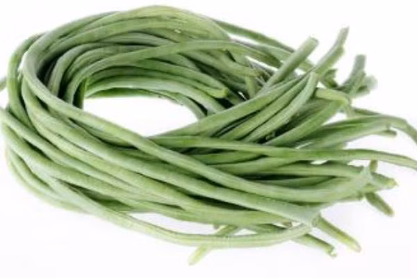 Đậu đũa hay có loại sâu đục thân, thuốc trừ sâu giảm phát huy hiệu quả. với loại sâu này. Vì vậy người trồng sẽ phải tăng lượng thuốc trừ sâu hoặc dùng loại có độc tính tương đối cao.