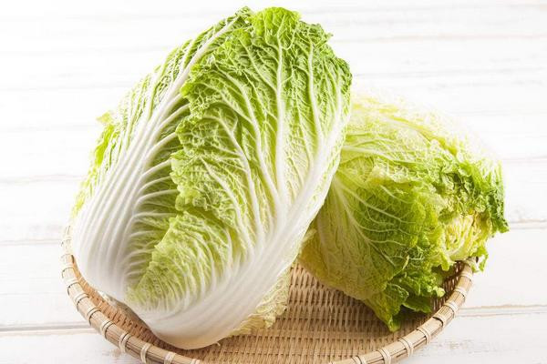 Cải thảo mùa hè dễ bị dư lượng thuốc trừ sâu vì thời điểm này phải phòng và kiểm soát sâu bệnh. Thời gian sinh trưởng của bắp cải mùa hè lại ngắn, thường không quá 60 ngày.