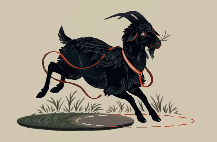 Tuổi Mùi nên dành thời gian dọn dẹp nhà cửa để thay đổi tâm trạng. Công việc đang không như ý, con giáp không nên vội vàng ra quyết định. Bù lại việc đầu tư kinh doanh của tuổi Mùi đang vô cùng may mắn.