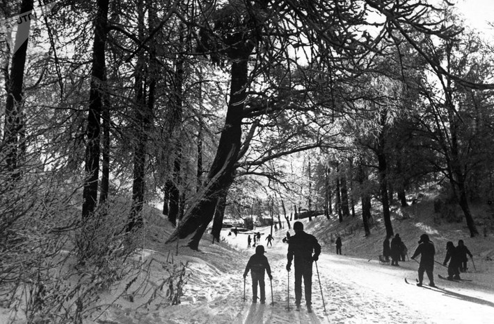 Trượt tuyết trong Công viên Izmailovsky ở phía đông Moscow.