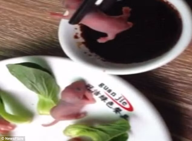 “Ba tiếng hét” được xem là nét đặc trưng trong văn hóa ẩm thực Trung Hoa. Thực tế dù độc đáo và được ví như một loại viagra tự nhiên song người dân địa phương không quá mặn mà với chúng.