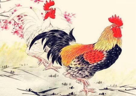 Tuổi Dậu hôm nay hơi sa sút trong công việc, nhiều điều làm bạn căng thẳng. Bù lại tài lộc vẫn tìm đến với con giáp này khi khả năng kiếm tiền của bạn ngày một tiến bộ.