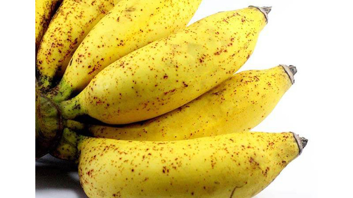 Đặc biệt, chuối chín kĩ có khả năng sản sinh lượng lớn nhất các yếu tố hoại tử khối u (TNF). Bằng cách kích thích sản xuất bạch cầu, TNF giúp chống lại sự gia tăng các tế bào bất thường trong cơ thể. Chuối chín kĩ cũng được đánh giá hiệu quả hơn gấp 8 lần trong việc cải thiện chức năng của bạch cầu.