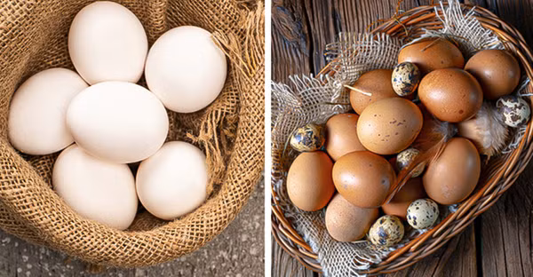  Chọn trứng theo màu sắc. Nhiều người đi chợ thường chọn trứng theo màu sắc bên ngoài. Họ cho rằng những quả trứng đậm màu sẽ giàu chất dinh dưỡng hơn song không đúng.