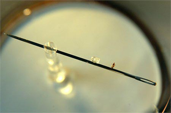 Trang sức bạc uy tín không gây nhiễm độc chì song cũng không “thần thánh”, có thể giúp phát hiện chất độc trong cơ thể người như đồn thổi. Trang Popular Science China cho biết, người xưa thường dùng kim bạc để phát hiện thạch tín (arsen trioxit)– chất có độc tính cao.