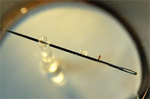 Trang sức bạc uy tín không gây nhiễm độc chì song cũng không “thần thánh”, có thể giúp phát hiện chất độc trong cơ thể người như đồn thổi. Trang Popular Science China cho biết, người xưa thường dùng kim bạc để phát hiện thạch tín (arsen trioxit)– chất có độc tính cao.