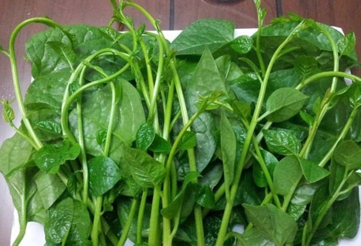 Với cách này, bạn nên thực hiện 2-3 lần một tuần để đạt hiệu quả dưỡng da tốt nhất. Ảnh: phunuvagiadinh.