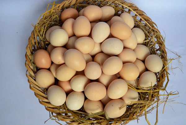 Khi mua, nên kiểm tra trứng còn mới hay đã để lâu ngày bằng cách lắc thật nhẹ quả trứng. Nếu không có sự chuyển động bên trong thì chắc chắc đây là trứng còn mới; nếu trứng có chuyển động cho thấy đã lâu ngày. Mức độ chuyển động càng mạnh thì trứng càng để lâu ngày, có thể đã hỏng.