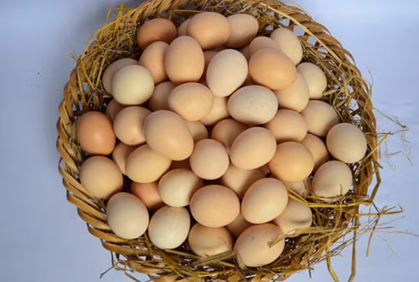 Khi mua, nên kiểm tra trứng còn mới hay đã để lâu ngày bằng cách lắc thật nhẹ quả trứng. Nếu không có sự chuyển động bên trong thì chắc chắc đây là trứng còn mới; nếu trứng có chuyển động cho thấy đã lâu ngày. Mức độ chuyển động càng mạnh thì trứng càng để lâu ngày, có thể đã hỏng.