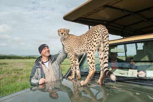 Sean Crane vuốt ve một con báo hoang dã ở Kenya.