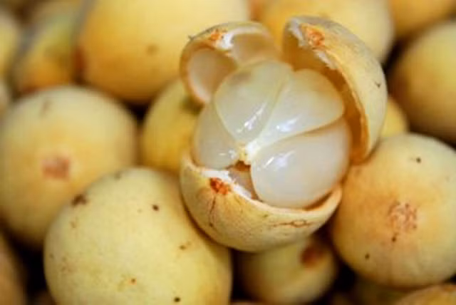 Ăn quả bòn bon còn giúp ngăn ngừa lão hóa sớm. Lượng vitamin C dồi dào trong bòn bon sẽ bảo vệ các phân tử quan trọng như protein, chất béo, carbohydrate, acid nucleic… khỏi các gốc tự do , độc tố và chất ô nhiễm. Ảnh: webtretho.