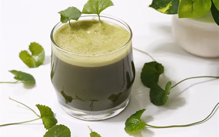 Cách đơn giản nhất trị sẹo rỗ với rau má chính là đem xay nhuyễn rau má, đắp lên vùng da bị sẹo rỗ trong vòng 20 phút, rồi rửa lại với nước sạch. Ảnh: cooky.