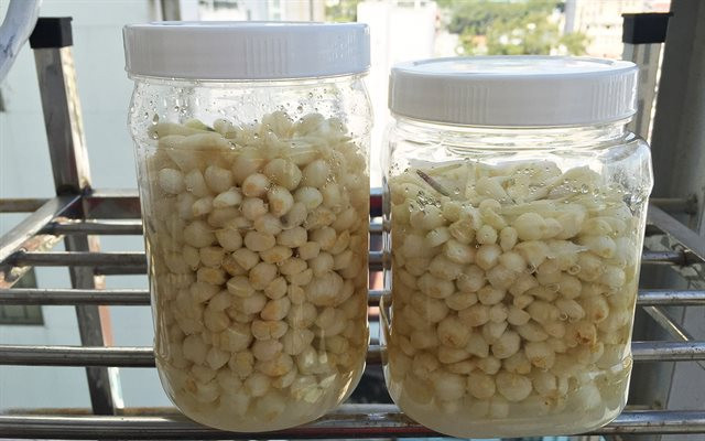 Sau khi sơ chế củ kiệu, bạn xếp một lớp củ kiệu vào trong hũ để ngâm theo nguyên tắc: cứ một lớp củ kiệu rồi đến một lớp đường, muối, giấm, tỏi cho đến khi hết nguyên liệu. Ảnh: cooky.