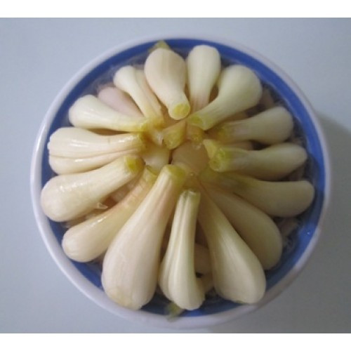 Cách muối củ kiệu này sẽ tốn khoảng 7- 10 ngày. Ảnh: giavivn.