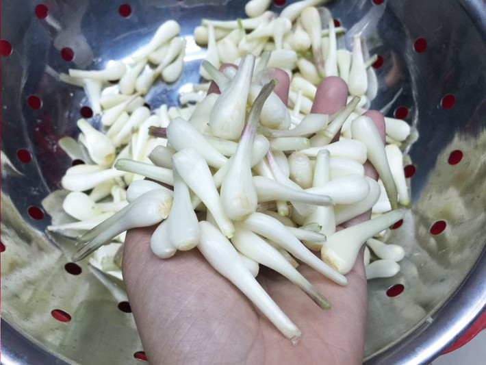 Sau đó, bạn rải một lớp đường mỏng xuống một cái bát rồi xếp một lớp kiệu. Cứ như vậy cho đến khi hết nguyên liệu và lớp trên cùng là lớp đường. Đậy kín bát lại và ướp trong 2 ngày. Ảnh: btaskee.